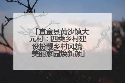宜章县黄沙镇大元村：四类乡村建设扮靓乡村风貌 美丽家园焕新颜