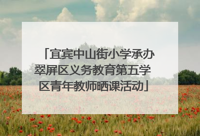 宜宾中山街小学承办翠屏区义务教育第五学区青年教师晒课活动