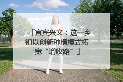 宜宾兴文：这一乡镇以创新种植模式拓宽“增收路”