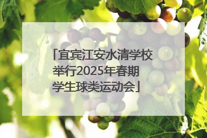 宜宾江安水清学校举行2025年春期学生球类运动会