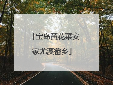 宝岛黄花菜安家尤溪畲乡