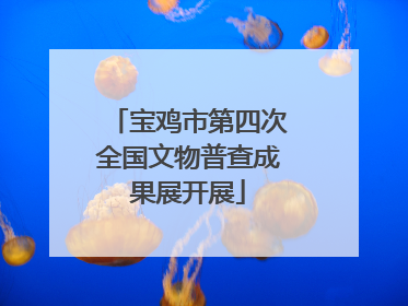 宝鸡市第四次全国文物普查成果展开展