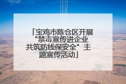 宝鸡市陈仓区开展“禁毒宣传进企业 共筑防线保安全”主题宣传活动