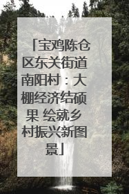 宝鸡陈仓区东关街道南阳村：大棚经济结硕果 绘就乡村振兴新图景