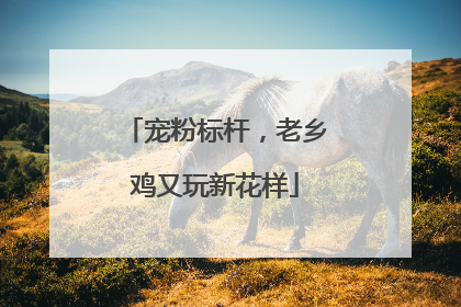 宠粉标杆，老乡鸡又玩新花样