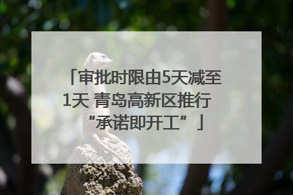 审批时限由5天减至1天 青岛高新区推行“承诺即开工”