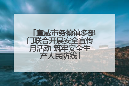 宣威市务德镇多部门联合开展安全宣传月活动 筑牢安全生产人民防线