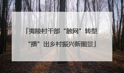 夷陵村干部“触网”转型“播”出乡村振兴新图景