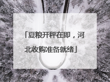 夏粮开秤在即，河北收购准备就绪