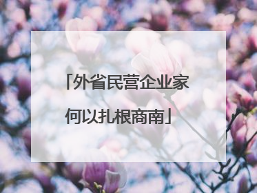 外省民营企业家何以扎根商南