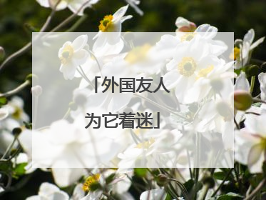 外国友人为它着迷