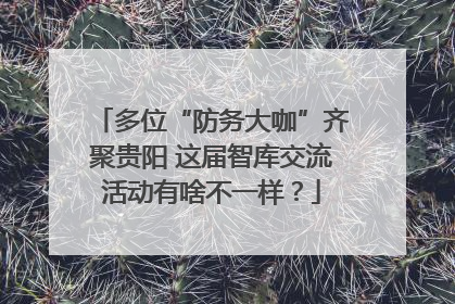 多位“防务大咖”齐聚贵阳 这届智库交流活动有啥不一样？