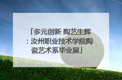 多元创新 陶艺生辉：汝州职业技术学院陶瓷艺术系毕业展