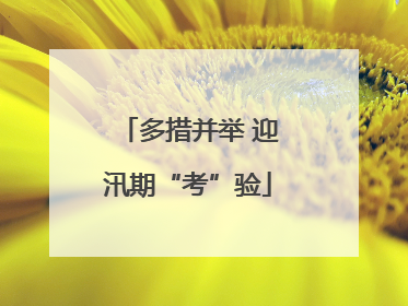 多措并举 迎汛期“考”验