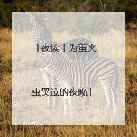 夜读丨为萤火虫哭泣的夜晚