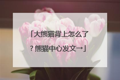 大熊猫背上怎么了？熊猫中心发文→