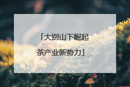 大别山下崛起茶产业新势力
