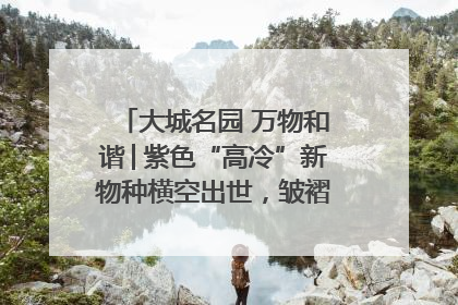 大城名园 万物和谐│紫色“高冷”新物种横空出世，皱褶叶片暗藏进化密码