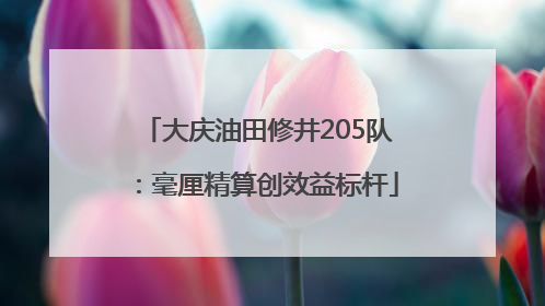 大庆油田修井205队：毫厘精算创效益标杆