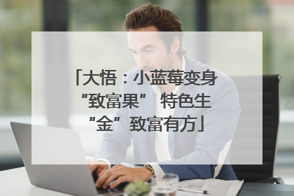 大悟：小蓝莓变身“致富果” 特色生“金”致富有方