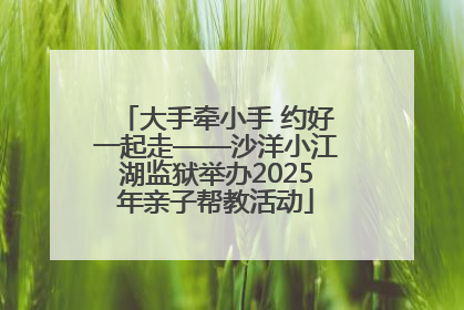 大手牵小手 约好一起走——沙洋小江湖监狱举办2025年亲子帮教活动