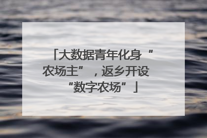 大数据青年化身“农场主”，返乡开设“数字农场”