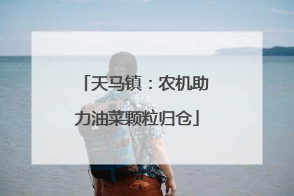 天马镇：农机助力油菜颗粒归仓