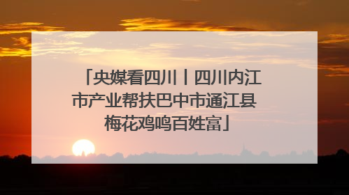 央媒看四川丨四川内江市产业帮扶巴中市通江县 梅花鸡鸣百姓富
