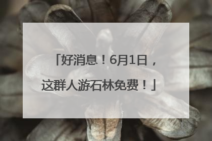 好消息！6月1日，这群人游石林免费！