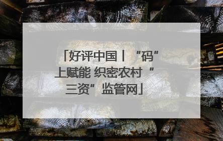 好评中国丨“码”上赋能 织密农村“三资”监管网