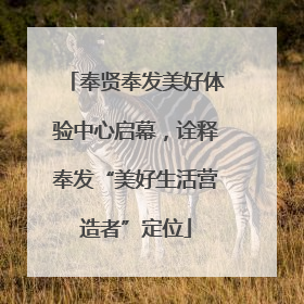 奉贤奉发美好体验中心启幕，诠释奉发“美好生活营造者”定位