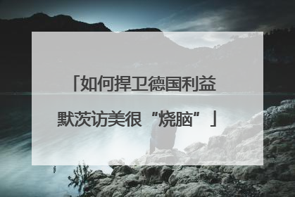 如何捍卫德国利益 默茨访美很“烧脑”