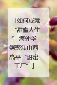 如何成就“甜蜜人生” 海外华媒聚焦山西高平“甜蜜工厂”