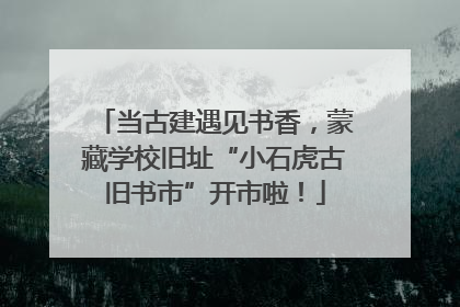 当古建遇见书香，蒙藏学校旧址“小石虎古旧书市”开市啦！