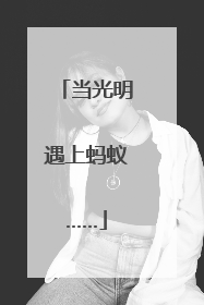 当光明遇上蚂蚁……