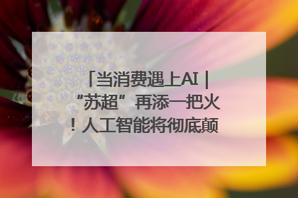 当消费遇上AI｜“苏超”再添一把火！人工智能将彻底颠覆绿茵场？
