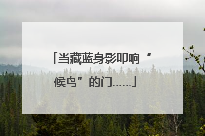 当藏蓝身影叩响“候鸟”的门……