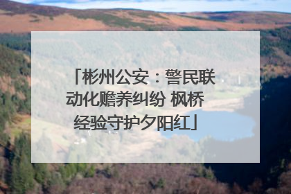彬州公安：警民联动化赡养纠纷 枫桥经验守护夕阳红