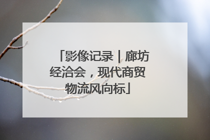 影像记录｜廊坊经洽会，现代商贸物流风向标