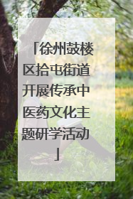 徐州鼓楼区拾屯街道开展传承中医药文化主题研学活动
