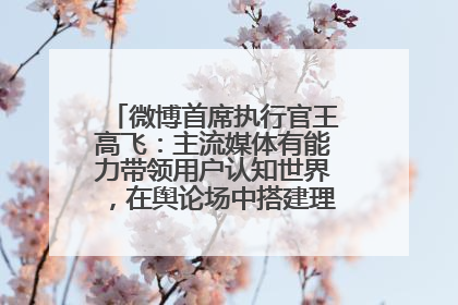 微博首席执行官王高飞：主流媒体有能力带领用户认知世界，在舆论场中搭建理性的讨论空间