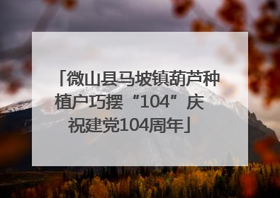 微山县马坡镇葫芦种植户巧摆“104”庆祝建党104周年