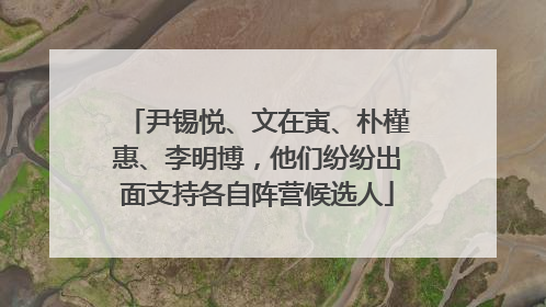尹锡悦、文在寅、朴槿惠、李明博，他们纷纷出面支持各自阵营候选人
