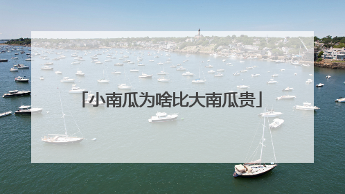 小南瓜为啥比大南瓜贵