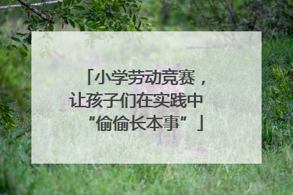 小学劳动竞赛，让孩子们在实践中“偷偷长本事”