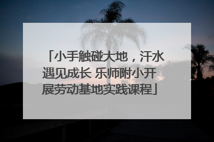 小手触碰大地，汗水遇见成长 乐师附小开展劳动基地实践课程