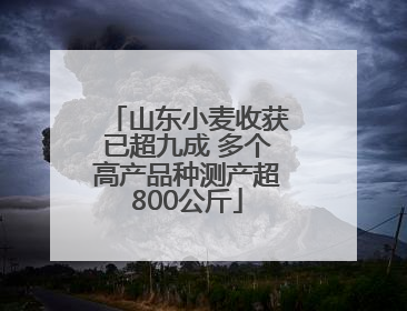 山东小麦收获已超九成 多个高产品种测产超800公斤