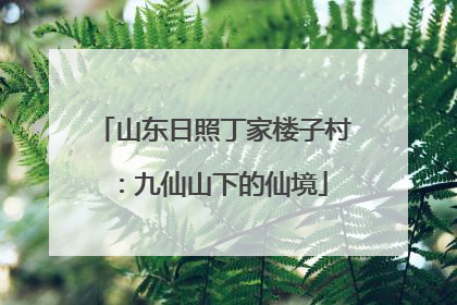 山东日照丁家楼子村：九仙山下的仙境