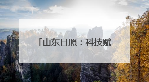 山东日照:科技赋能引领高质量发展
