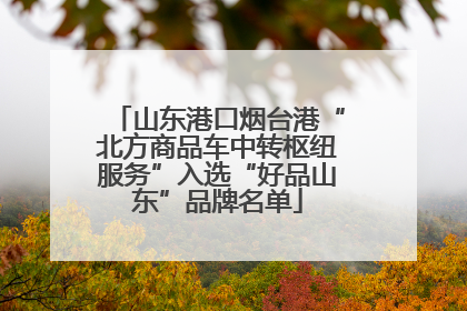 山东港口烟台港“北方商品车中转枢纽服务”入选“好品山东”品牌名单